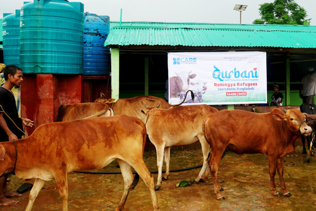 Qurbani Cow Photos